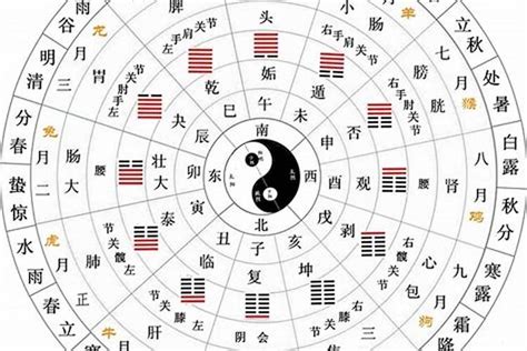 地支天干|十二天干地支对照表 十天干和十二地支详解